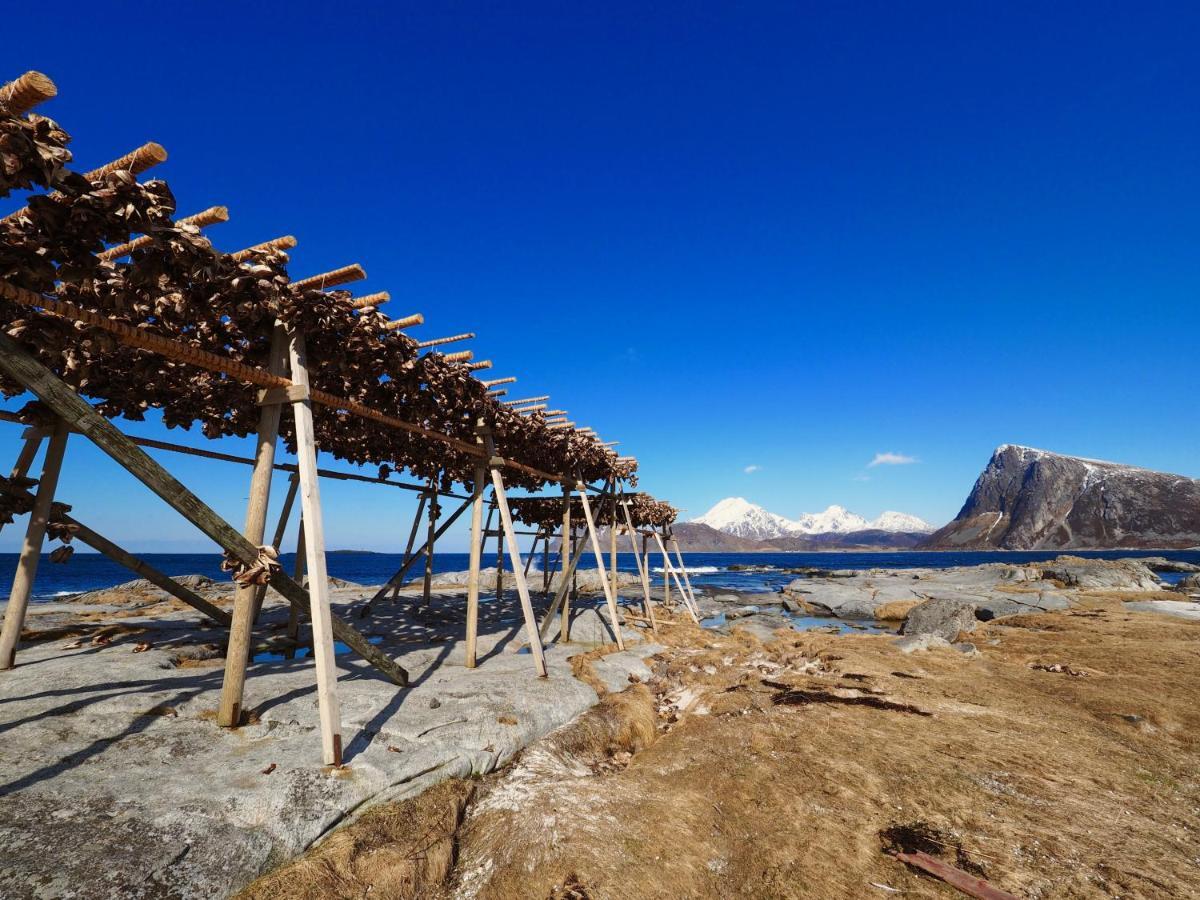 Lofoten Troll Point Bostad Extérieur photo